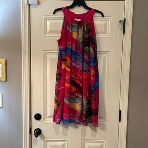 Signature by Robbie Bee Vibrant Multicolor Dress